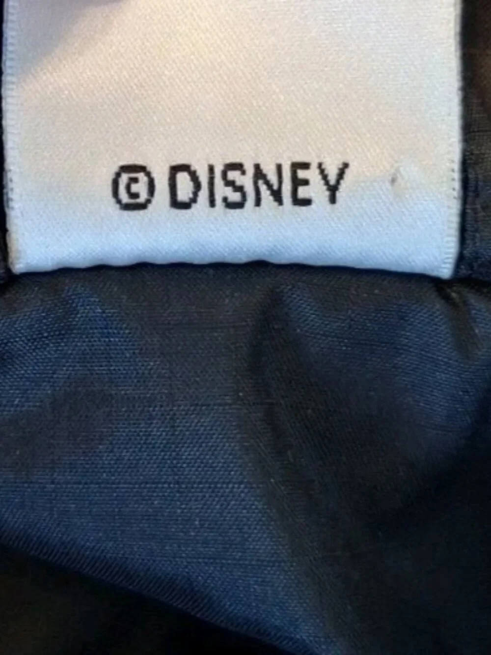 Disney Catalog Vintage Eeyore Windbreaker Full Zip Hooded Jacket Size MEDIUM